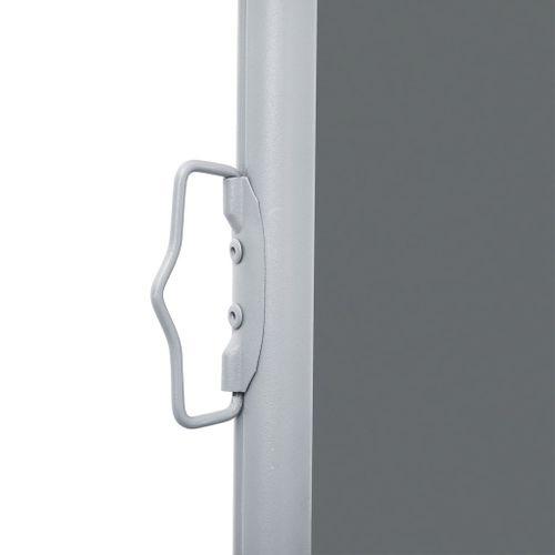 Store Banne - Auvent Latéral Rétractable Anthracite 140 X 600 Cm At148