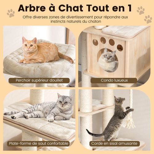 Arbre à Chat En Bois 170cm - Perchoir Condo - Tour à Chat - Coussin Amovible Poteaux à Gratter