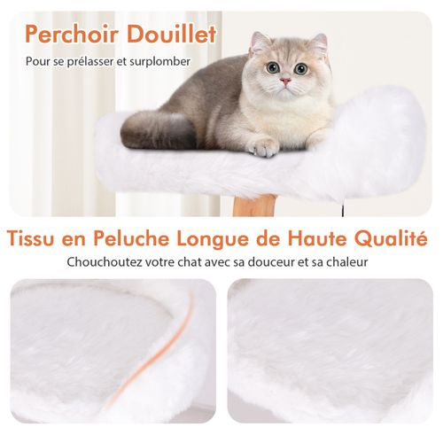 Arbre à Chat Moderne En Bois Massif 168cm Perchoirs Condo Griffoirs En Jute Corde En Sisal