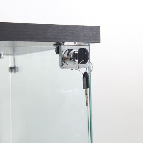 Vitrine Avec Verre , Éclairage LED Avec 1 Porte Et 3 Compartiments, 125 X 40 X 36 Cm , Noir