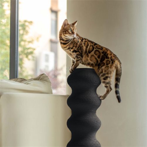 Griffoir Incurvé Pour Chat En Rotin Résistant, H90cm, Noir