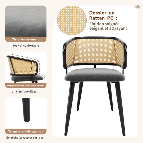 Chaises De Salle à Manger Modernes En Velours, Lot De 2, 51 X 54 X 79 Cm, Dossier En Rotin, Gris