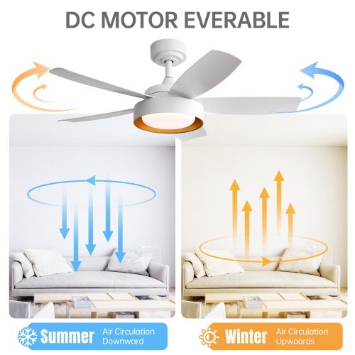 Ventilateur De Plafond 42" (106 Cm) Avec LED, 6 Vitesses, Télécommande, Moteur Dc Réversible, Blanc