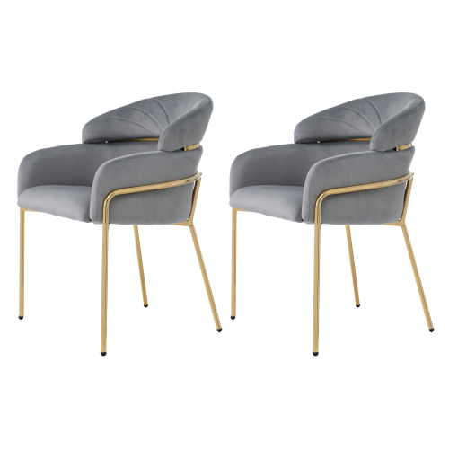 Lot De 2 Chaises De Salle à Manger En Velours Gris, Pieds En Métal Doré