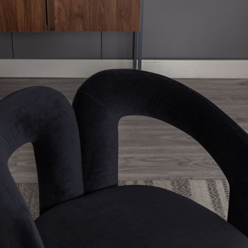 Lot De 2 Chaises Salle à Manger En Velours Avec Accoudoirs, Confortables, Design Moderne, Noir