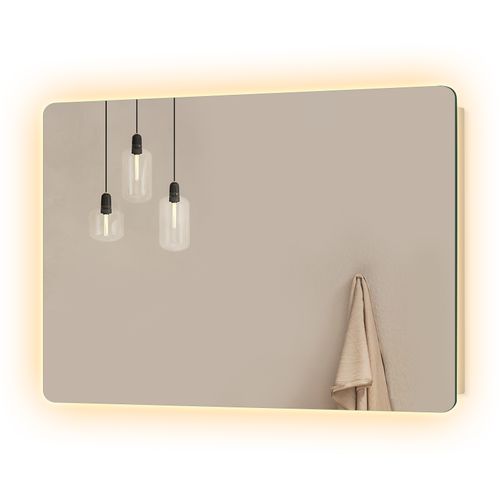 Miroir LED Salle De Bain 40x60cm Anti-buée Double Éclairage Froide Chaude Bouton