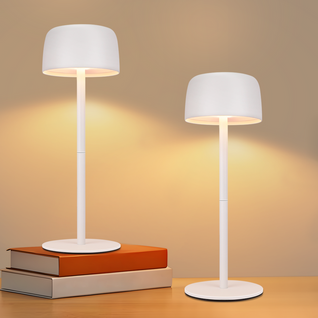 Lampes De Table LED Lot De 2 Sans Fil Lampe Intensité Variable Avec 3 Températures Hauteur Réglable