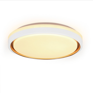 Plafonnier LED 18W 30cm Dimmable avec Télécommande Moderne Rond Salon Chambre Cuisine