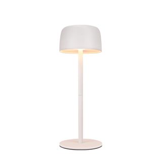 Lampe De Table LED Sans Fil, Lampe De Chevet à Réglage Continu Avec Batterie