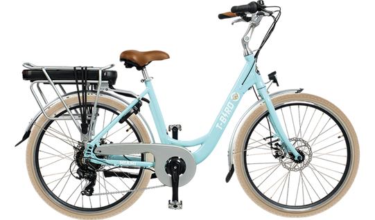 Vélo Électrique E-bike 26 Pouces Alliage De Aluminium Freins à Double Disque