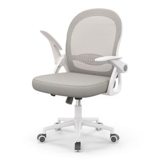 Chaise De Bureau Ergonomique En Maille, Accoudoirs Relevables, Support Lombaire - Gris