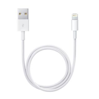 Câble Lightning Vers Usb (0,5 m)