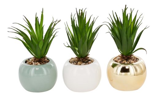 Cactus H10 cm BALTIMORE Blanc