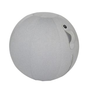 Swiss Ball Gris