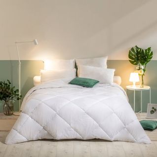 Pack Couette Chaude 240x260cm + 2 Oreillers Moelleux 60x60cm Lavable à 95°c