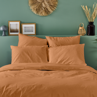 Taie D'oreiller Unie 50x75cm Percale Terracotta