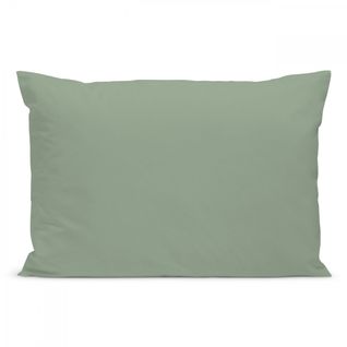 Taie D'oreiller Unie 50x75cm Percale Sauge