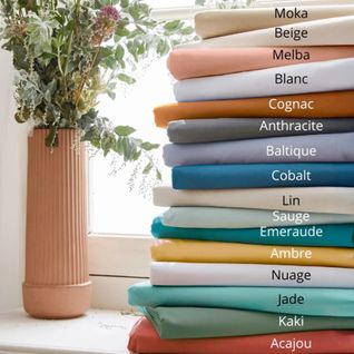 Drap-housse Pour Lit Relevable Percale De Coton Uni Bonnet 30 Cm - 160x200 Cm - Pêche