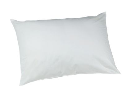 Oreiller 45x70 cm DREAMEA EDITION COTON