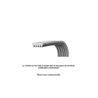 Courroie 1175j5  96x2024 Pour Courroie - Poulie - Tendeur Fagor, Vedette