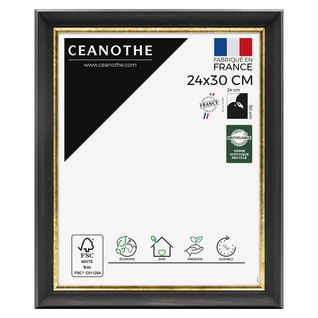 Cadre Photo Pandore Noir Doré 24x30 Cm Doré Résine Recyclée