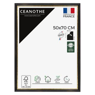 Cadre Photo Pandore Noir Doré 50x70 Cm Doré Résine Recyclée