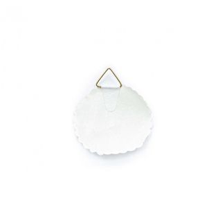 Lot De 12 Attaches Gommées 45 Mm Ceanothe Pour 1 Kg Blanc