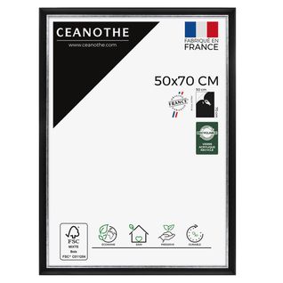 Cadre Photo Pandore Noir Argent 50x70 Cm Argent Résine Recyclée