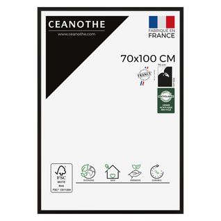 Cadre Photo Essentiel Exposition Noir 70x100 Cm Noir Bois Massif Fsc