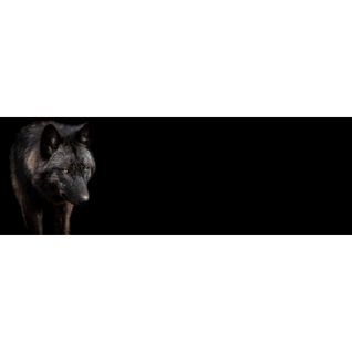 Tableau Sur Toile Loup Noir 30x97 Cm