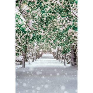 Tableau Sur Toile Chemin Enneigé 65x97 Cm