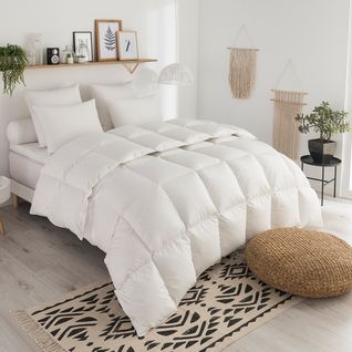 Couette Tradition Legere - 70% Duvet D'oie 240 X 260 Cm Blanc
