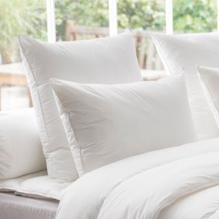 Oreiller Thermoduv 70% Duvet D'oie Medium 60 X 60 Cm Blanc