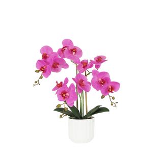 Orchidee Artificielle Fuchsia 50cm