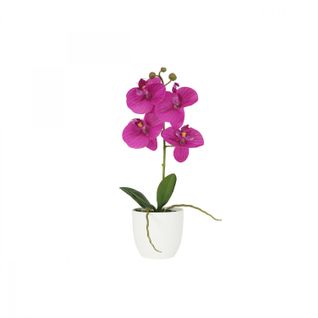 Orchidee Artificielle Fuchsia 35cm