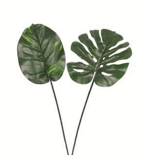 Lys tige 2 fleurs H. 78 cm  Vert