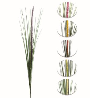 Liatris tige H.90 cm5  6 modèles au choix