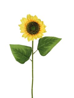 Tige tournesol H. 62 cm  Jaune