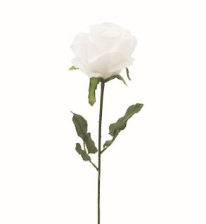 Rose tige H. 72 cm  Blanc