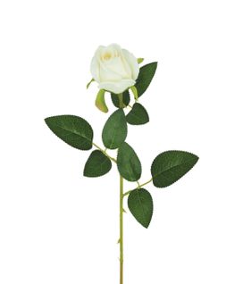Bouton de rose H. 63 cm  Blanc