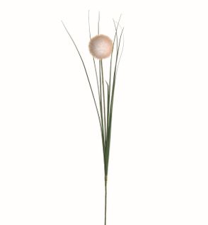 Herbe boule H. 64 cm  Blanc