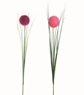 Herbe boule H. 64 cm  Rose fushia