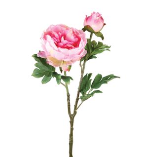 Pivoine tige H. 69 cm  Rose