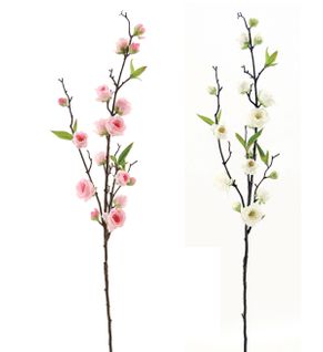 Arecca palme feuillage H100 cm  Blanc / Rose