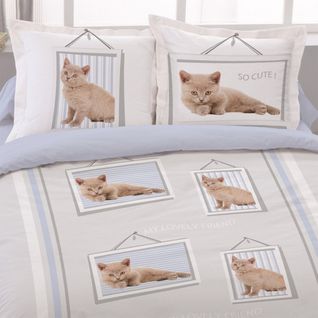 Housse De Couette 240x220 Lovely Friend + 2 Taies Coton 52 Fils