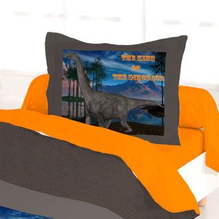 Housse De Couette 140x200 Dinosaur King + 1 Taie