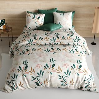 Housse De Couette 260x240 Kano + 2 Taies Coton 57 Fils