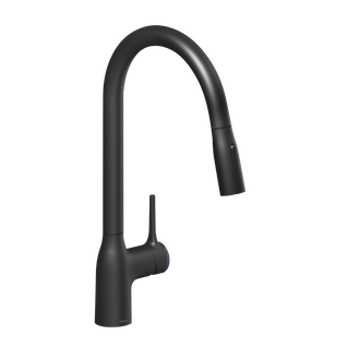 Robinet Douchette Luisina Camille Noir Mat