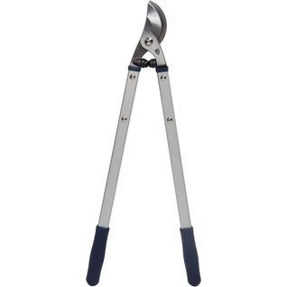 Ébrancheur Professionnel 70 Cm