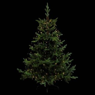 Robe Lumineuse Copper 232 LED 2,2m Extérieur Blanc Chaud